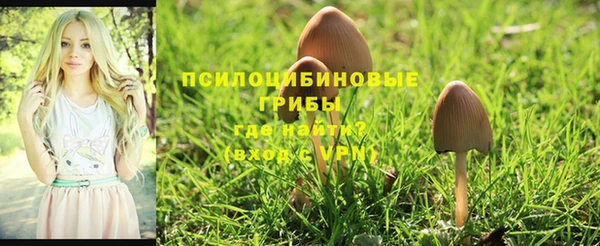 дурь Остров